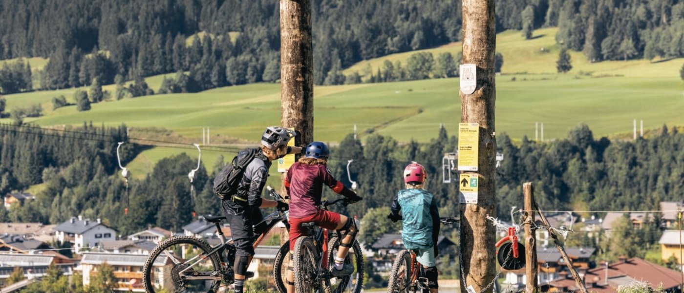 Downhill Familien Trail Hänsn Line Downhill Familien Trail Hänsn Line