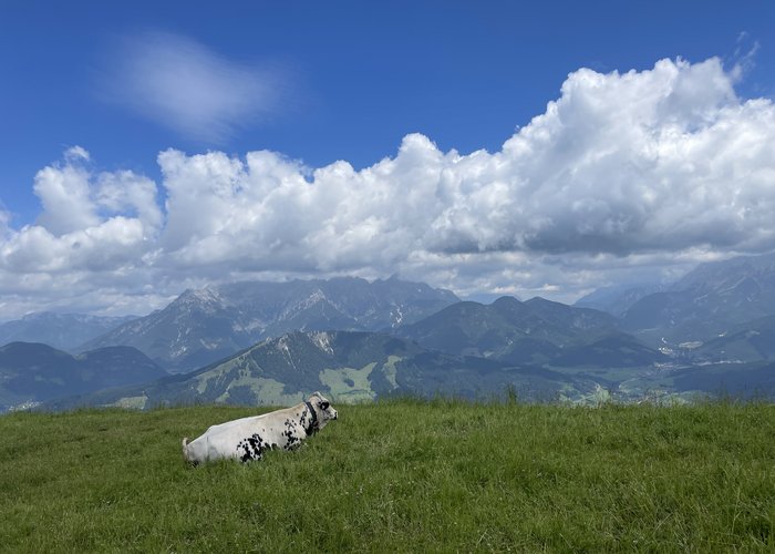View from Lärchfilzkogel View from Lärchfilzkogel
