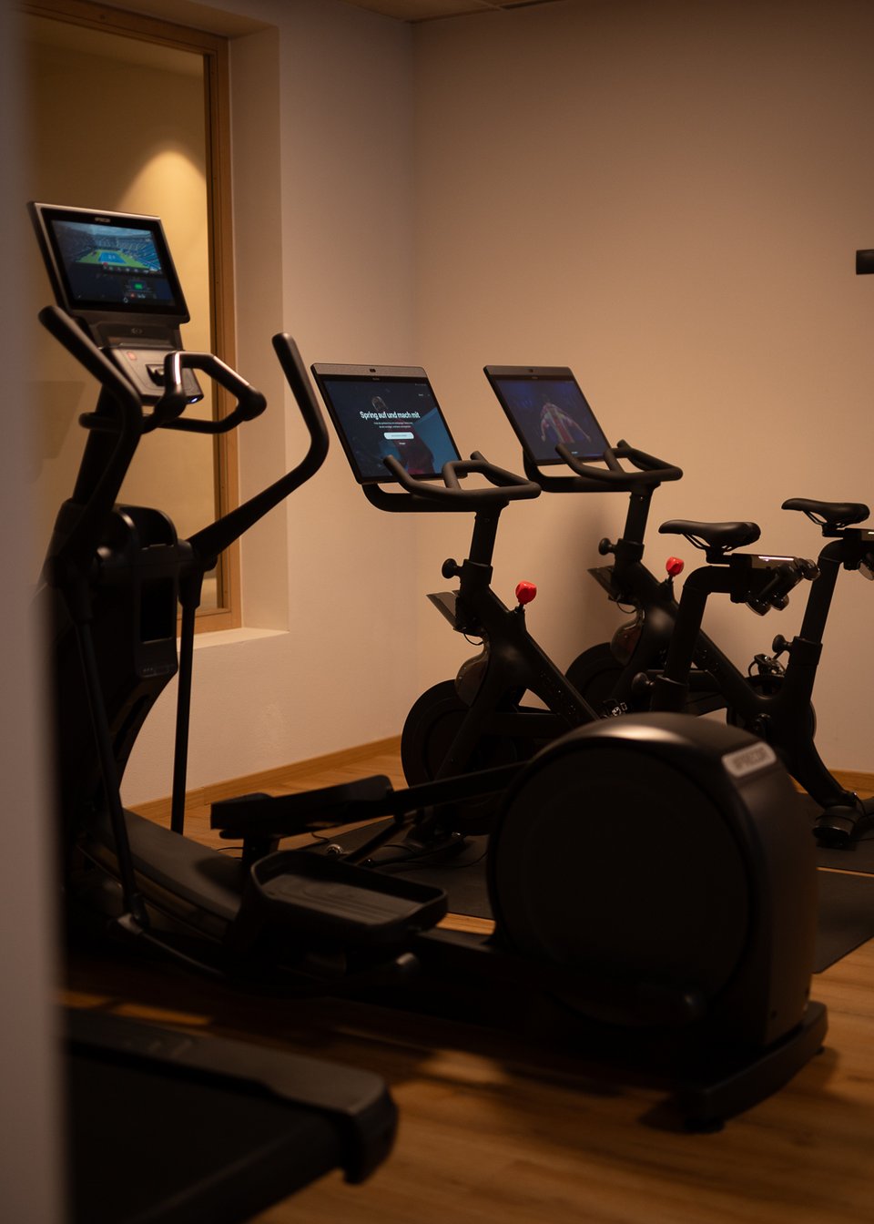 Day Spa inmitten der Kitzbüheler Alpen Trainingsgeräte in einem Fitnessraum mit Fahrrädern und Laufband