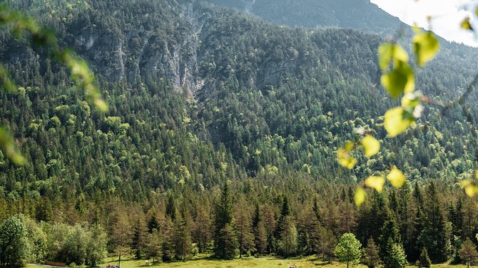 Hiking in Fieberbrunn: simply stunning! Hiking in Fieberbrunn: simply stunning!