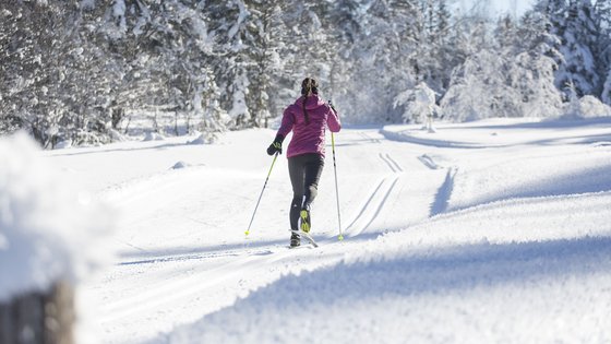 Kurzurlaub in Tirol: Wellness-Auszeit im ADEA Fieberbrunn Frau beim Langlaufen auf verschneiter Winterlandschaft mit Bäumen