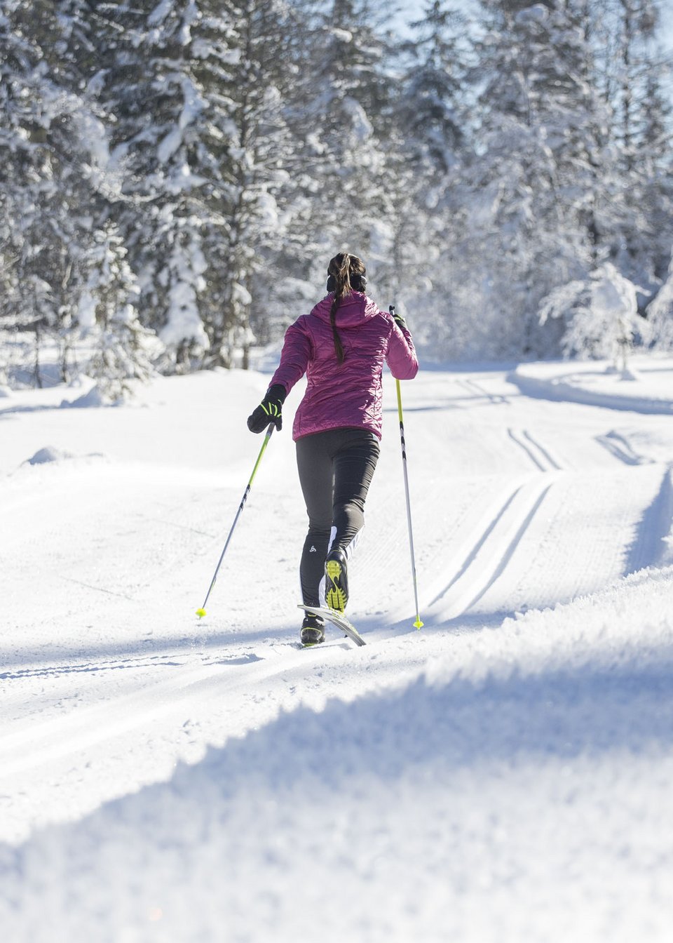Woman cross-country skiing in snowy landscape in Pillerseetal Woman cross-country skiing in snowy landscape in Pillerseetal