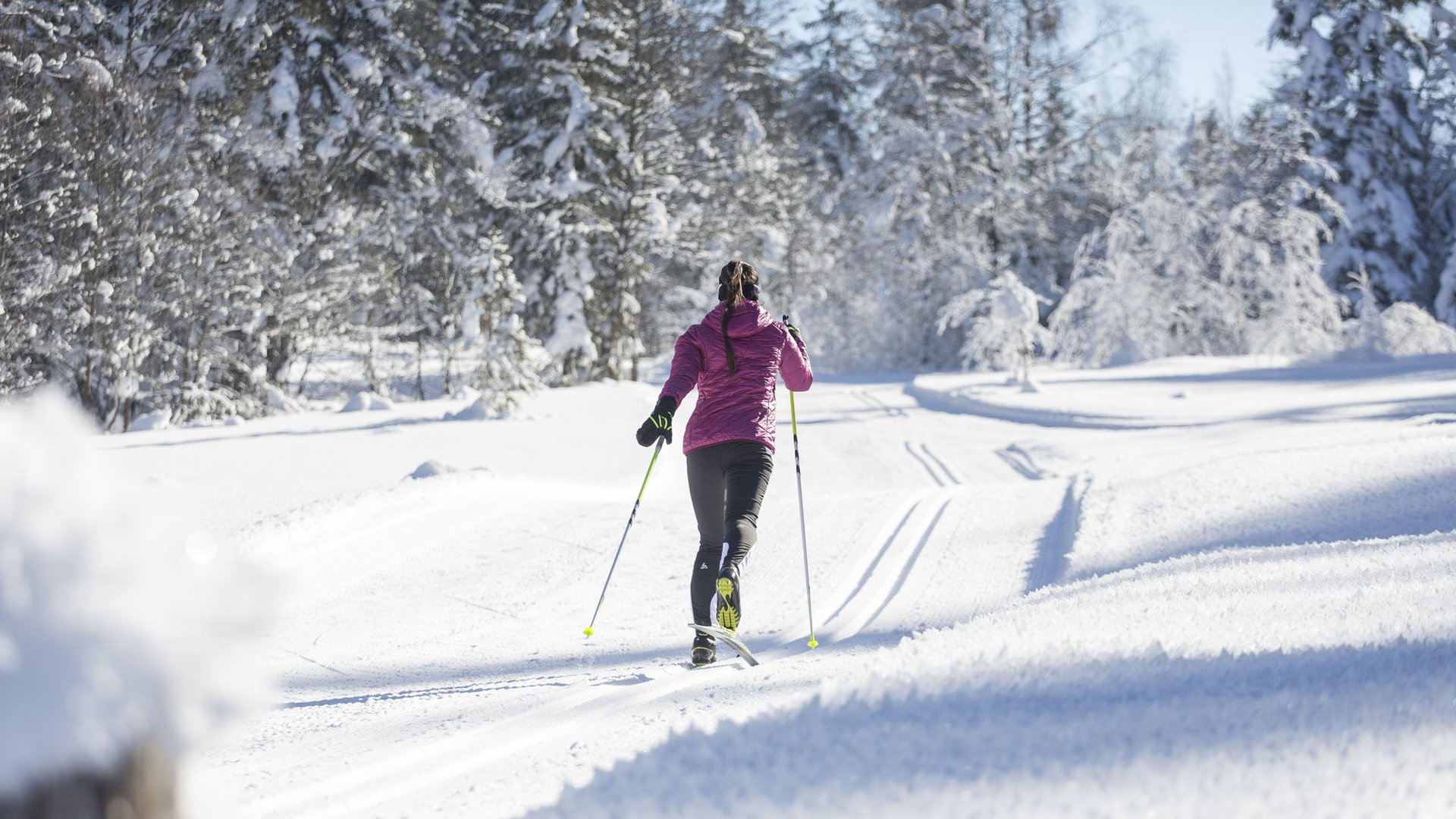 Cross-country skiing in Fieberbrunn: Try it out!