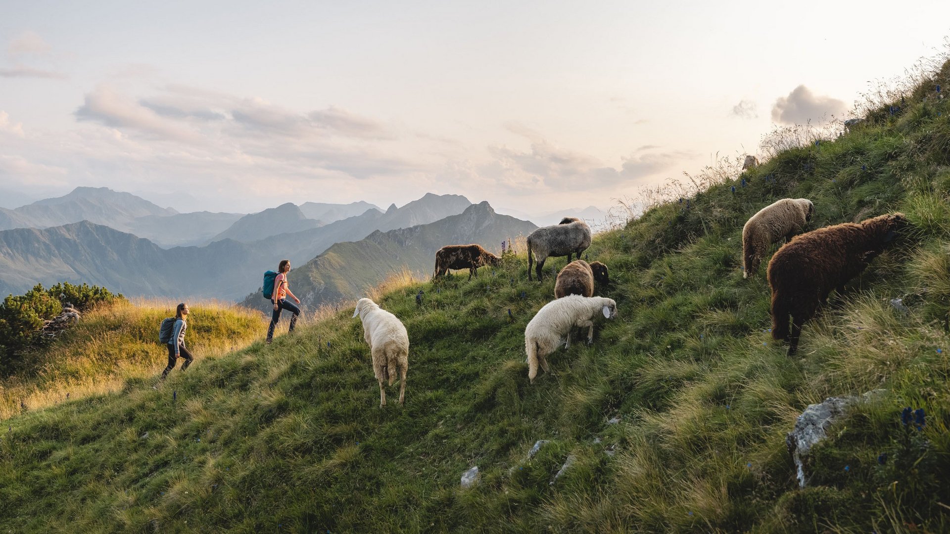 Fieberbrunn: destinations, lifestyle, experiences