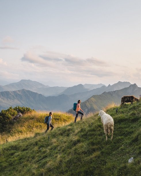 Wanderer auf dem Weg zum Gipfel Wildseeloder Wanderer auf dem Weg zum Gipfel Wildseeloder