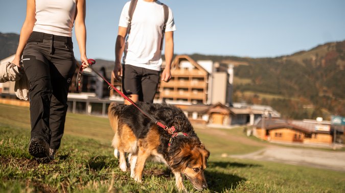 Urlaub mit Hunden in Fieberbrunn Urlaub mit Hunden in Fieberbrunn