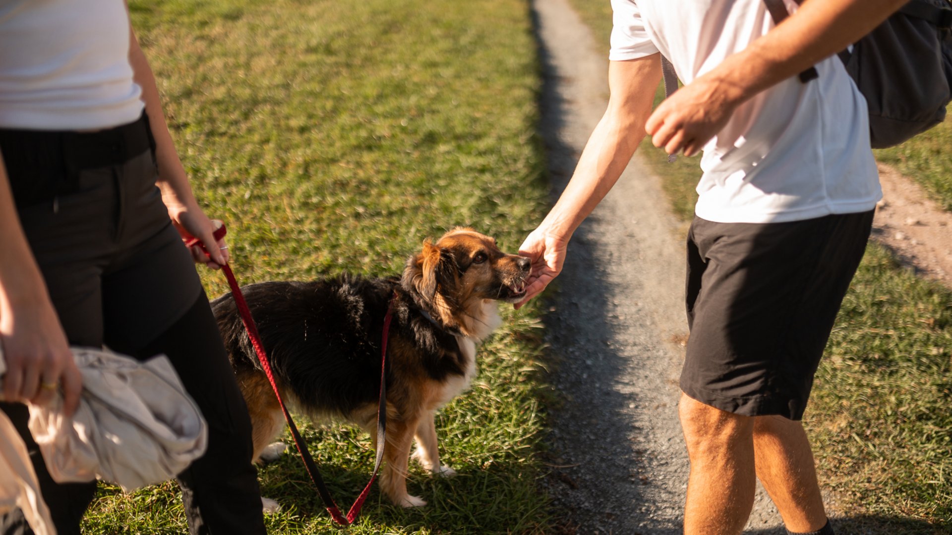 Paar geht mit Hund wandern und Herrchen gibt ihm ein Leckerli Paar geht mit Hund wandern und Herrchen gibt ihm ein Leckerli