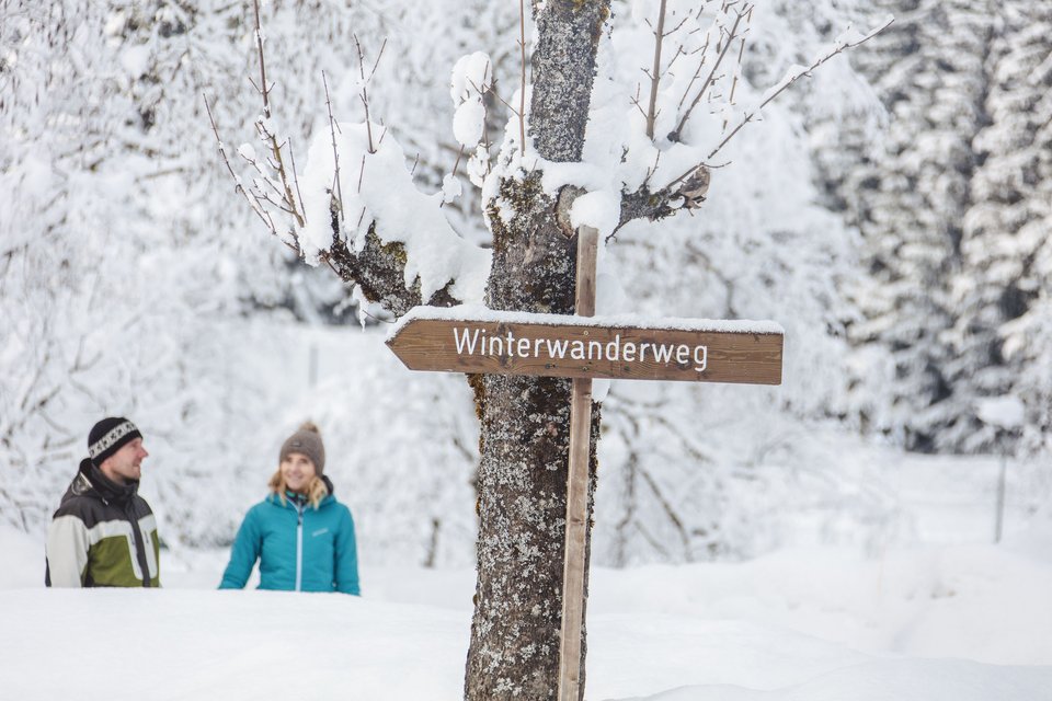 Cross-country skiing in Fieberbrunn: Try it out! Wooden sign Winter hiking trail on snowy tree with two people in background