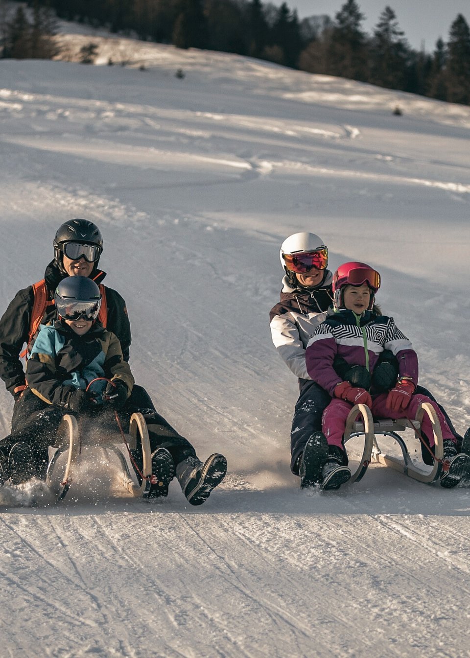 Eltern sitzten jeweils mit einem Kind gemeinsam auf der Rodel und rodeln den Berg hinunter Eltern sitzten jeweils mit einem Kind gemeinsam auf der Rodel und rodeln den Berg hinunter