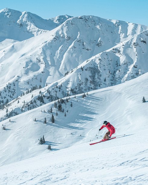 Skier in the Skicircus Saalbach Hinterglemm Leogang Fieberbrunn Skier in the Skicircus Saalbach Hinterglemm Leogang Fieberbrunn